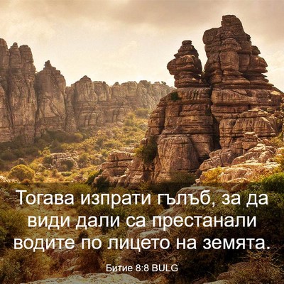 Picture 03 - Битие 8:8 BULG - Тогава изпрати гълъб, за да - Bible Verse Picture