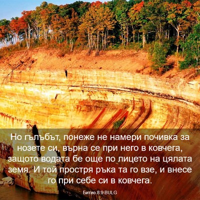 Picture 03 - Битие 8:9 BULG - Но гълъбът, понеже не - Bible Verse Picture