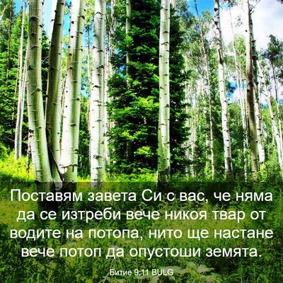 Picture 03 - Битие 9:11 BULG - Поставям завета Си с вас, - Bible Verse Picture