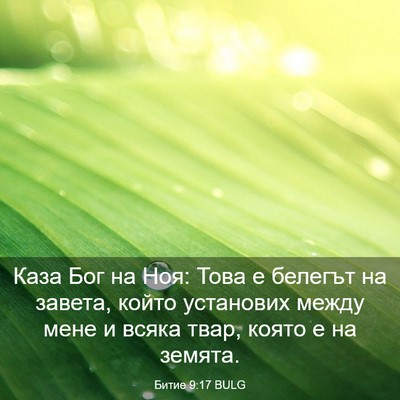 Picture 03 - Битие 9:17 BULG - Каза Бог на Ноя: Това е - Bible Verse Picture
