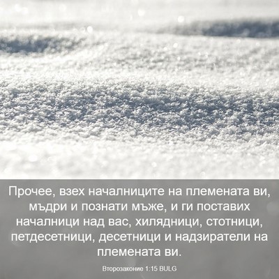 Picture 03 - Второзаконие 1:15 BULG - Прочее, взех началниците - Bible Verse Picture