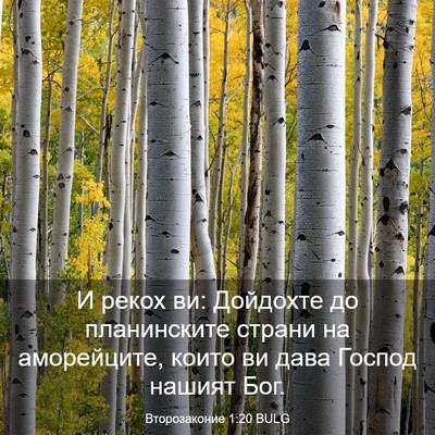 Picture 03 - Второзаконие 1:20 BULG - И рекох ви: Дойдохте до - Bible Verse Picture