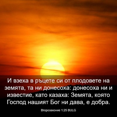 Picture 03 - Второзаконие 1:25 BULG - И взеха в ръцете си от - Bible Verse Picture