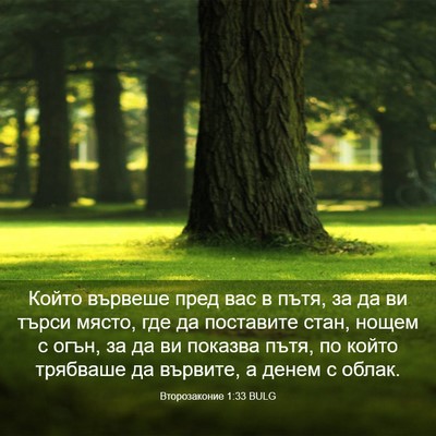 Picture 03 - Второзаконие 1:33 BULG - Който вървеше пред вас в - Bible Verse Picture