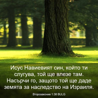 Picture 03 - Второзаконие 1:38 BULG - Исус Навиевият син, който - Bible Verse Picture