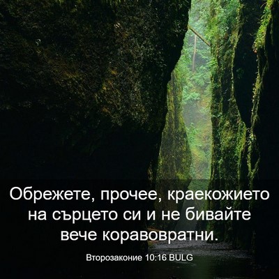 Picture 03 - Второзаконие 10:16 BULG - Обрежете, прочее, - Bible Verse Picture