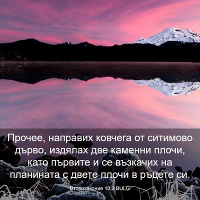 Picture 03 - Второзаконие 10:3 BULG - Прочее, направих ковчега - Bible Verse Picture
