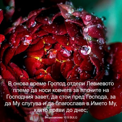 Picture 03 - Второзаконие 10:8 BULG - В онова време Господ - Bible Verse Picture