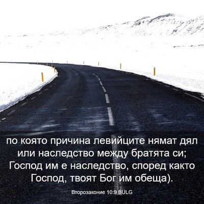 Picture 03 - Второзаконие 10:9 BULG - по която причина левийците - Bible Verse Picture