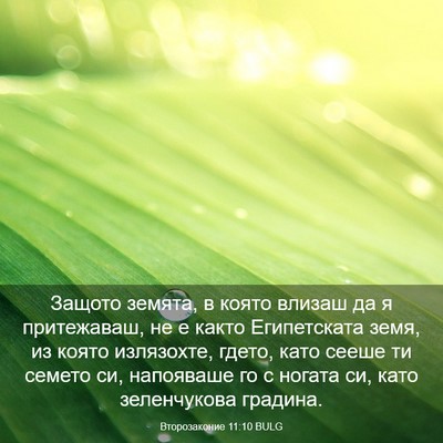 Picture 03 - Второзаконие 11:10 BULG - Защото земята, в която - Bible Verse Picture