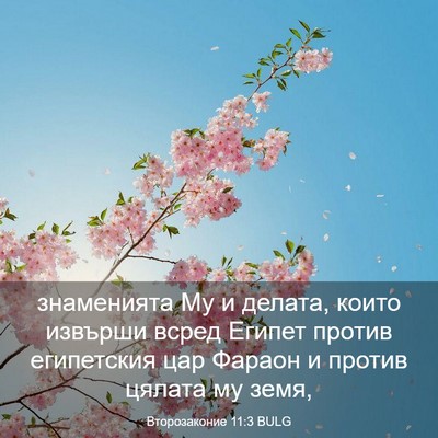 Picture 03 - Второзаконие 11:3 BULG - знаменията Му и делата, - Bible Verse Picture