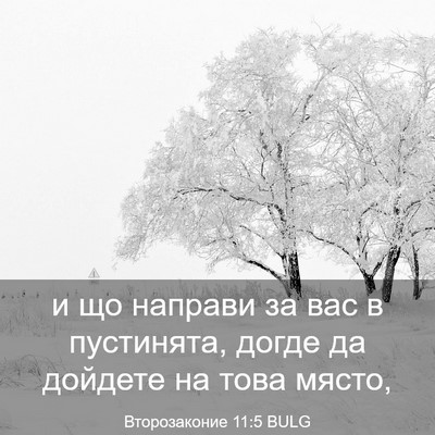Picture 03 - Второзаконие 11:5 BULG - и що направи за вас в - Bible Verse Picture