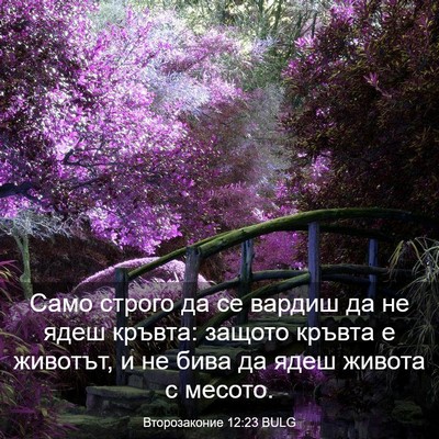 Picture 03 - Второзаконие 12:23 BULG - Само строго да се вардиш да - Bible Verse Picture