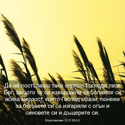 Picture 03 - Второзаконие 12:31 BULG - Да не постъпваш така - Bible Verse Picture
