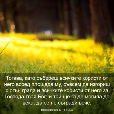 Picture 03 - Второзаконие 13:16 BULG - Тогава, като събереш - Bible Verse Picture