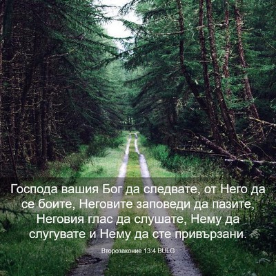 Picture 03 - Второзаконие 13:4 BULG - Господа вашия Бог да - Bible Verse Picture