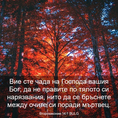 Picture 03 - Второзаконие 14:1 BULG - Вие сте чада на Господа - Bible Verse Picture