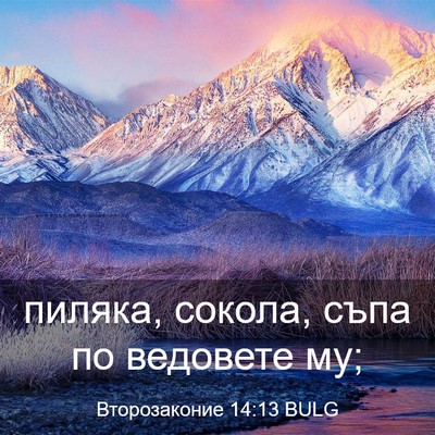 Picture 03 - Второзаконие 14:13 BULG - пиляка, сокола, съпа по - Bible Verse Picture