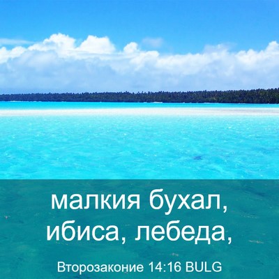 Picture 03 - Второзаконие 14:16 BULG - малкия бухал, ибиса, - Bible Verse Picture