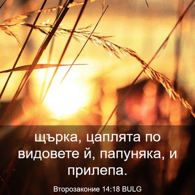 Picture 03 - Второзаконие 14:18 BULG - щърка, цаплята по видовете - Bible Verse Picture
