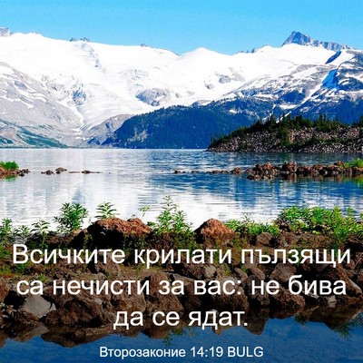 Picture 03 - Второзаконие 14:19 BULG - Всичките крилати пълзящи - Bible Verse Picture