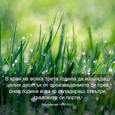 Picture 03 - Второзаконие 14:28 BULG - В края на всяка трета - Bible Verse Picture