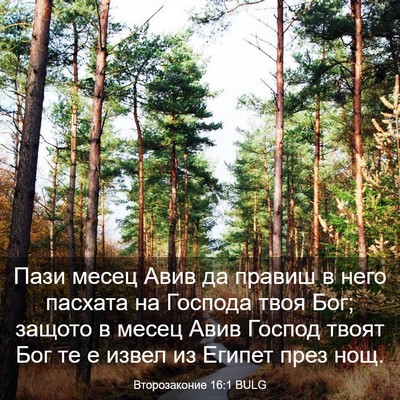 Picture 03 - Второзаконие 16:1 BULG - Пази месец Авив да правиш в - Bible Verse Picture