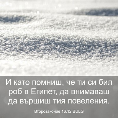 Picture 03 - Второзаконие 16:12 BULG - И като помниш, че ти си бил - Bible Verse Picture