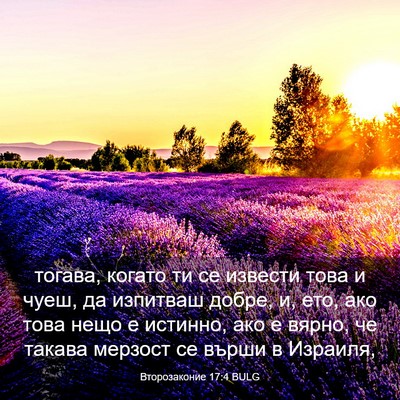 Picture 03 - Второзаконие 17:4 BULG - тогава, когато ти се - Bible Verse Picture