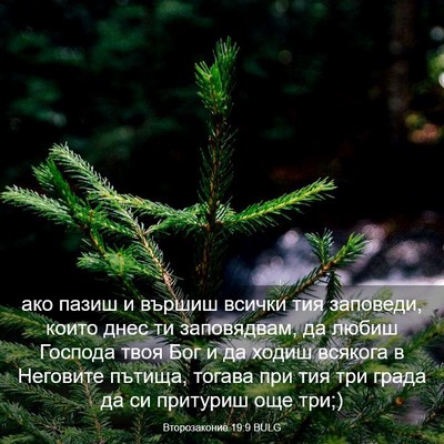 Picture 03 - Второзаконие 19:9 BULG - ако пазиш и вършиш всички - Bible Verse Picture