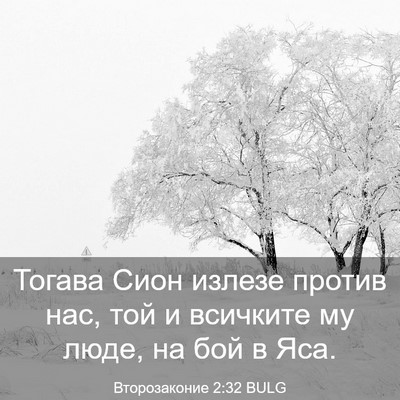 Picture 03 - Второзаконие 2:32 BULG - Тогава Сион излезе против - Bible Verse Picture