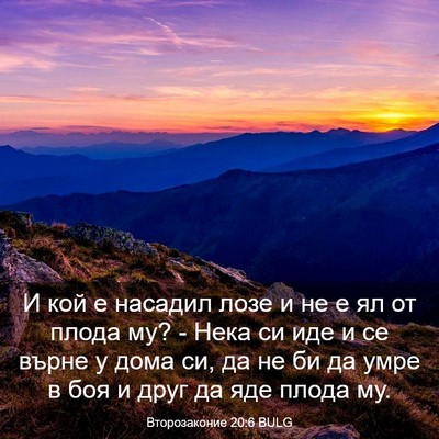 Picture 03 - Второзаконие 20:6 BULG - И кой е насадил лозе и не е - Bible Verse Picture