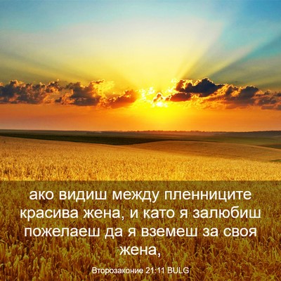 Picture 03 - Второзаконие 21:11 BULG - ако видиш между пленниците - Bible Verse Picture