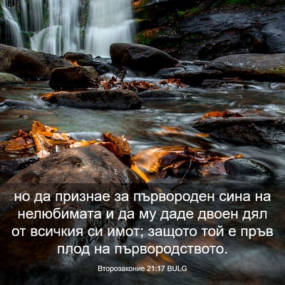 Picture 03 - Второзаконие 21:17 BULG - но да признае за - Bible Verse Picture