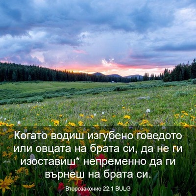 Picture 03 - Второзаконие 22:1 BULG - Когато водиш изгубено - Bible Verse Picture