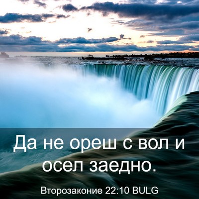 Picture 03 - Второзаконие 22:10 BULG - Да не ореш с вол и осел - Bible Verse Picture