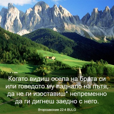 Picture 03 - Второзаконие 22:4 BULG - Когато видиш осела на - Bible Verse Picture