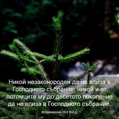 Picture 03 - Второзаконие 23:2 BULG - Никой незаконороден да не - Bible Verse Picture