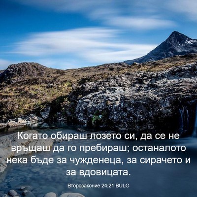 Picture 03 - Второзаконие 24:21 BULG - Когато обираш лозето си, да - Bible Verse Picture