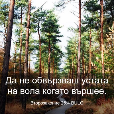Picture 03 - Второзаконие 25:4 BULG - Да не обвързваш устата на - Bible Verse Picture
