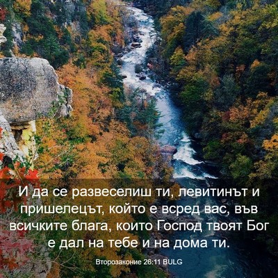 Picture 03 - Второзаконие 26:11 BULG - И да се развеселиш ти, - Bible Verse Picture