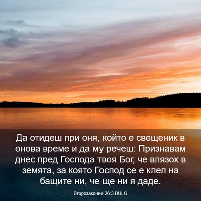 Picture 03 - Второзаконие 26:3 BULG - Да отидеш при оня, който е - Bible Verse Picture