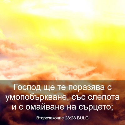 Picture 03 - Второзаконие 28:28 BULG - Господ ще те поразява с - Bible Verse Picture