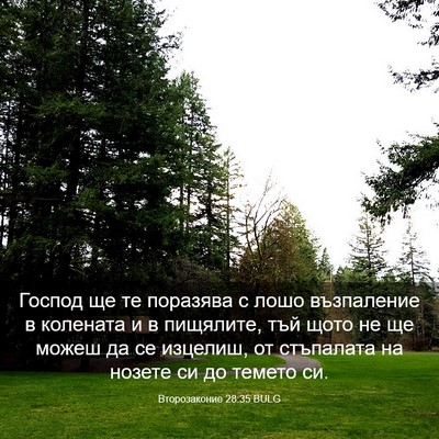 Picture 03 - Второзаконие 28:35 BULG - Господ ще те поразява с - Bible Verse Picture