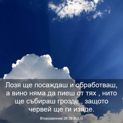 Picture 03 - Второзаконие 28:39 BULG - Лозя ще посаждаш и - Bible Verse Picture