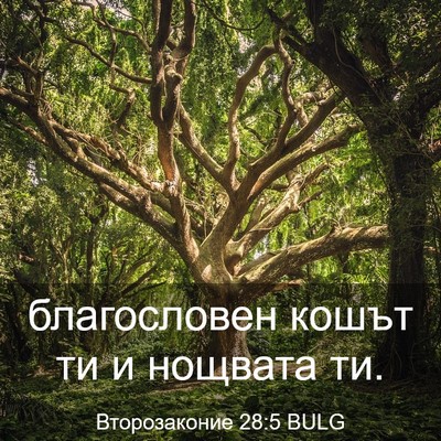 Picture 03 - Второзаконие 28:5 BULG - благословен кошът ти и - Bible Verse Picture