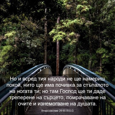 Picture 03 - Второзаконие 28:65 BULG - Но и всред тия народи не ще - Bible Verse Picture