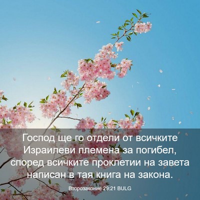 Picture 03 - Второзаконие 29:21 BULG - Господ ще го отдели от - Bible Verse Picture