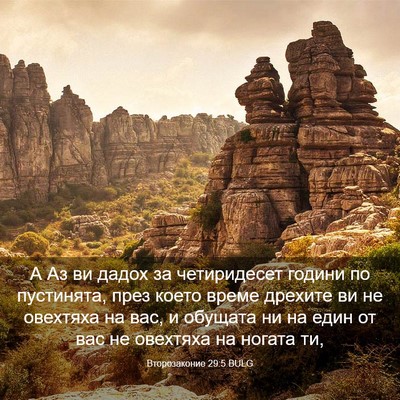 Picture 03 - Второзаконие 29:5 BULG - А Аз ви дадох за - Bible Verse Picture