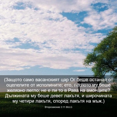 Picture 03 - Второзаконие 3:11 BULG - (Защото само васанският - Bible Verse Picture